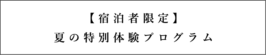 夏のアクティビティ