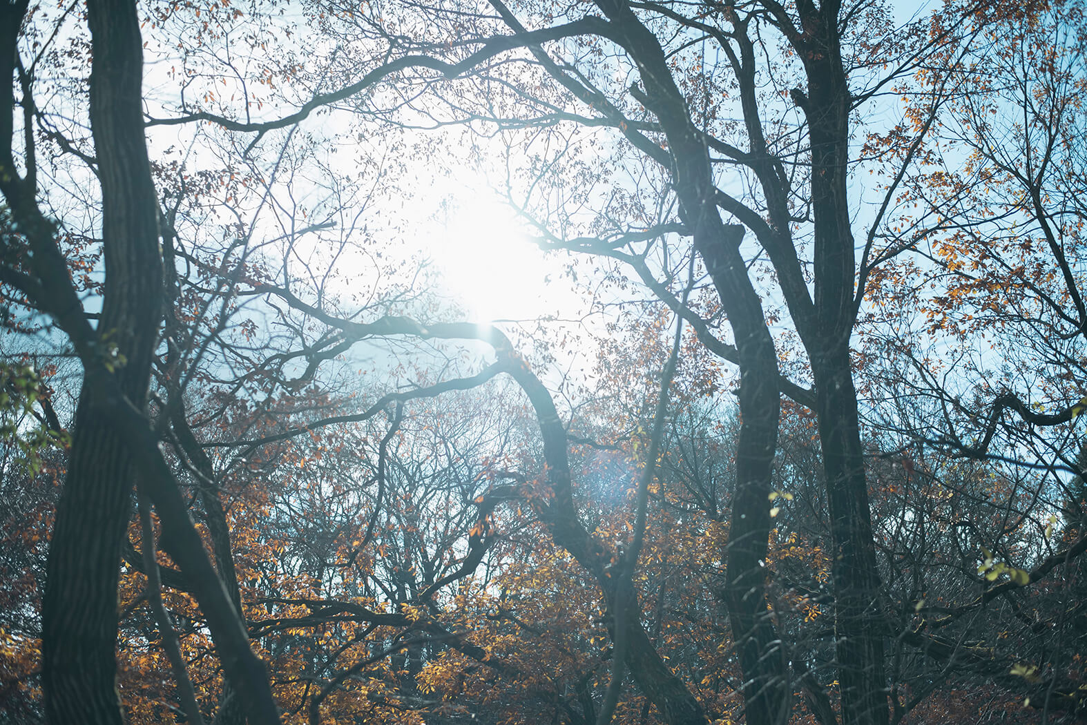 Responsibility hero image